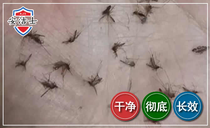 海口蚊子防治-灭蚊