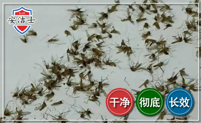 海口苍蝇防治-灭蝇