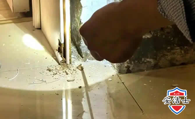 海口房屋建筑防治白蚁