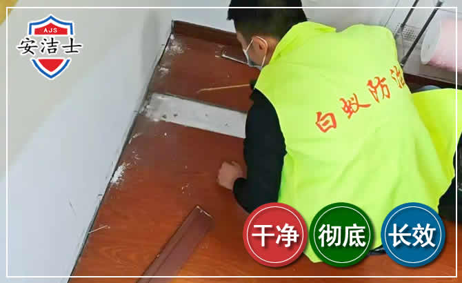 海口除四害现场