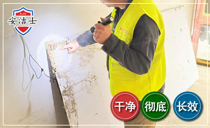 海口除白蚁现场