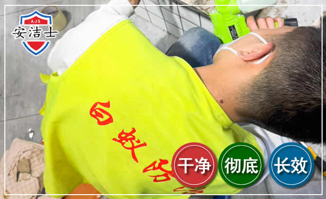 海口白蚁根治现场